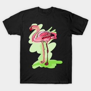 Phoenicopterus #07 T-Shirt